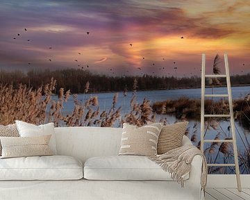 Broekpolder Vlaardingen van Henk van Holten