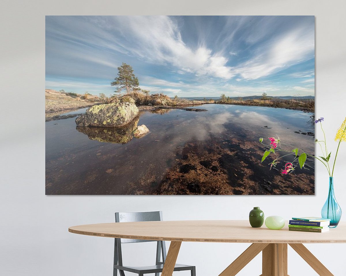 Voorbeeld van het werk in een kamer