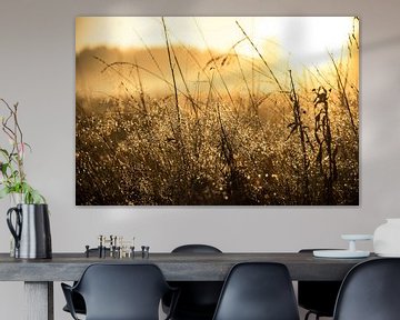 Golden grass van Marc Hollenberg
