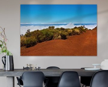 Paysage de lave rouge avec petits buissons au Teide sur Anja B. Schäfer