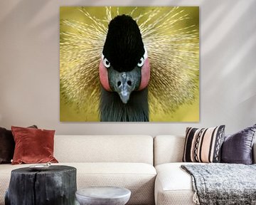 Portrait of a crowned crane by Christel Nouwens- Lambers