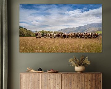 Kudde koeien in Nieuw Zeelandse weiland van Troy Wegman