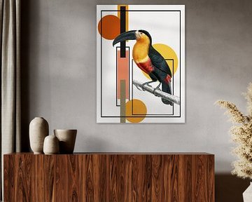 Toucan Art