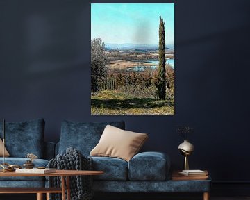 Lone Cypress with Lago di Chiusi in Tuscany