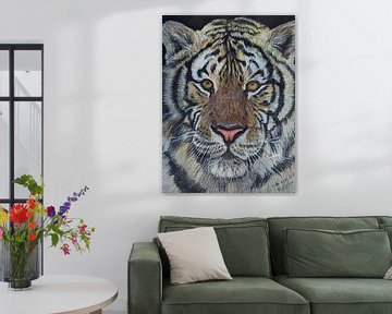 Tijger ‘Majestueuze jager’