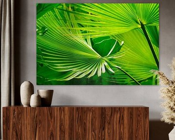 luminous palm leaf abstract by Dörte Bannasch