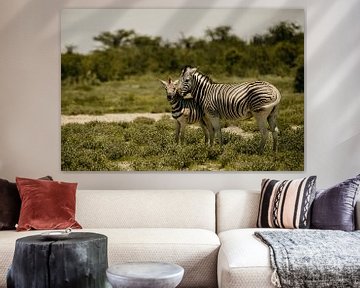 Mère et enfant zèbre dans le parc national d'Etosha sur Leen Van de Sande