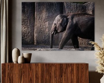 olifant 2.0 van Bert Broekhuis