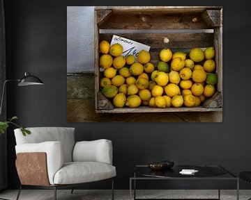 Box of limes by Judith van Wijk