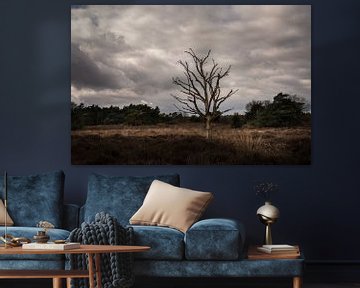 Dead and lonely tree in the Drenthe landscape. by Bo Scheeringa Photography