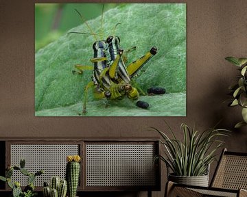 Ping'an China, natuur van Margot van Dijk