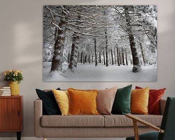 A coniferous forest under snow by Claude Laprise