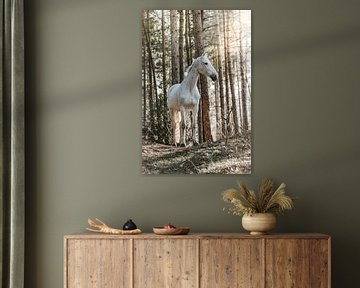 Portrait of white horse on mountain in sunlight by Shirley van Lieshout