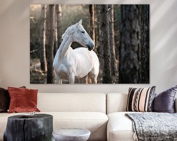 Porträt eines weißen Pferdes im Wald mit Sonnenlicht von Shirley van Lieshout