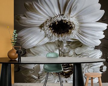White Gerbera "looks" at its distorted reflection (shades of brown) by Marjolijn van den Berg