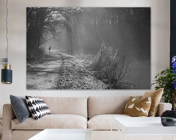 Sandy canal in the fog
