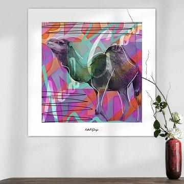 Dromadaire en laisse