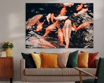 Oranje vissen in het donkere water van Madinja Groenenberg