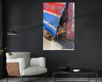 Kat verstopt achter tapijten op Karpathos (Griekenland)