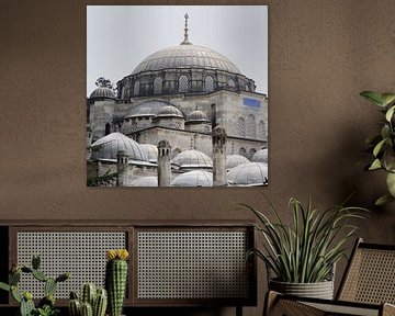 Blue Mosque in Istanbul by Gonnie van de Schans