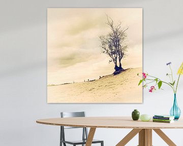 Solitaire boom in zand duinen van Soesterduinen (Art of nature) van Ramona Stravers