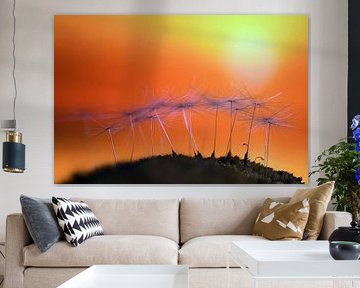 Dandelion mini landscap