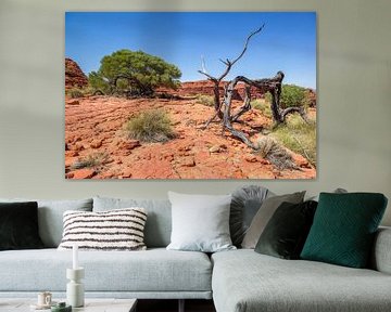 Kings Canyon - Australië van Troy Wegman