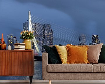 Erasmusbrücke Rotterdam