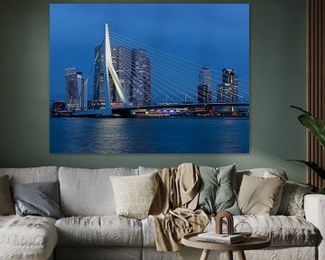 Erasmus Bridge Rotterdam by Havenfotos.nl(Reginald van Ravesteijn)