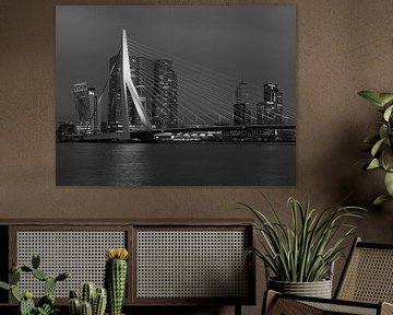 Erasmusbrug Rotterdam van Havenfotos.nl(Reginald van Ravesteijn)