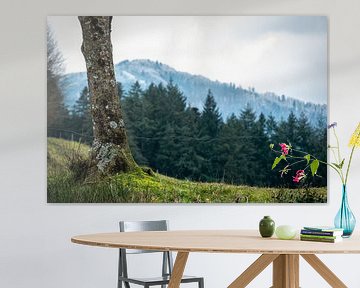 Tree by the wayside in the Black Forest near Oberried by Andreas Nägeli