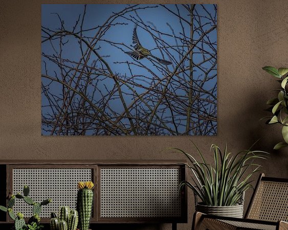 Aperçu de la chambre