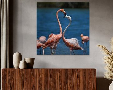 Zwei Flamingos schauen sich tief in die Augen von Pieter JF Smit