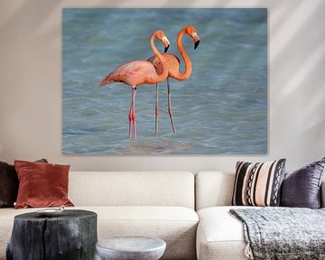 Flamingos on Bonaire by Pieter JF Smit
