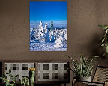 Landscape with snow in winter in Ruka, Finland
