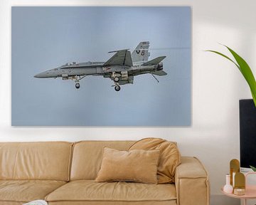 Dirty pass U.S. Navy Boeing F/A-18C Hornet. by Jaap van den Berg