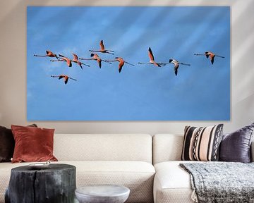 Lieber zehn Flamingos am Himmel von Pieter JF Smit