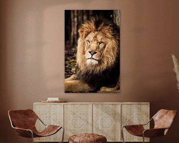 Een mannelijke leeuw van Design Wall Arts