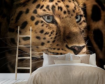 Een zijprofiel van een Amoerpanter