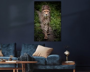 Cheetah on the move van Design Wall Arts