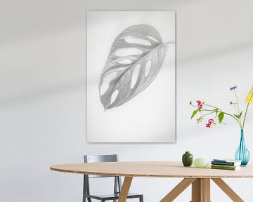 White Monstera or hole plant leaf by Denise Tiggelman