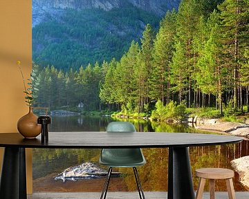 Wald in Norwegen von Rogier Vermeulen