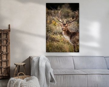 Damhert in de natuur van Design Wall Arts