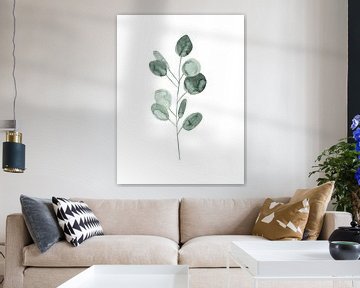 Illustration botanique d'eucalyptus sur Mantika Studio