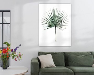Botanische Illustratie Palmblad van Mantika Studio
