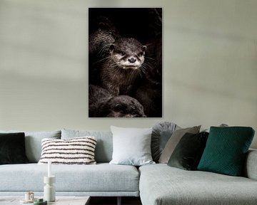 Kleine otter van Design Wall Arts