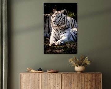 Een rustende witte tijger van Design Wall Arts