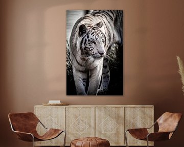 Tiger on the move van Design Wall Arts