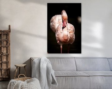 Een flamingo van dichtbij van Design Wall Arts