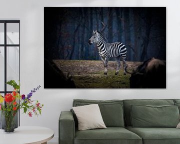 Zebra op de vlakte van Design Wall Arts